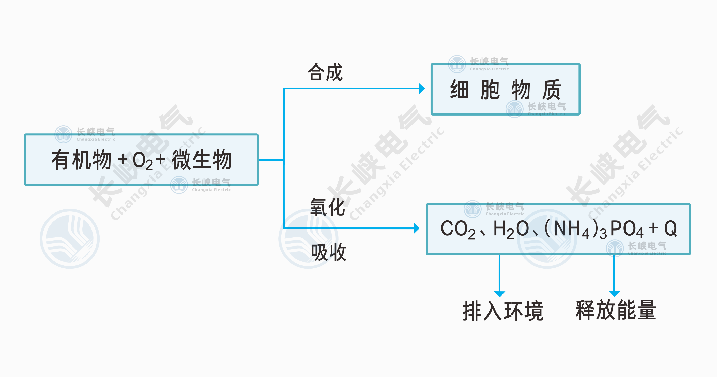 好氧发酵过程.png